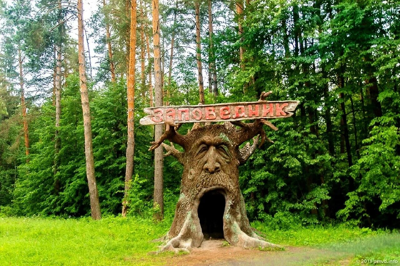 Охрана леса заповедники. Особо охраняемые природные территории. Заповедники лесной зоны. Территория оопт тверская область. Приокско- террасный биосферный заповедник дом лешего.