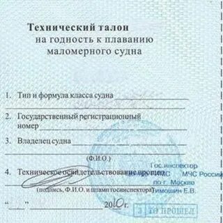 Номер регистрационной записи гимс