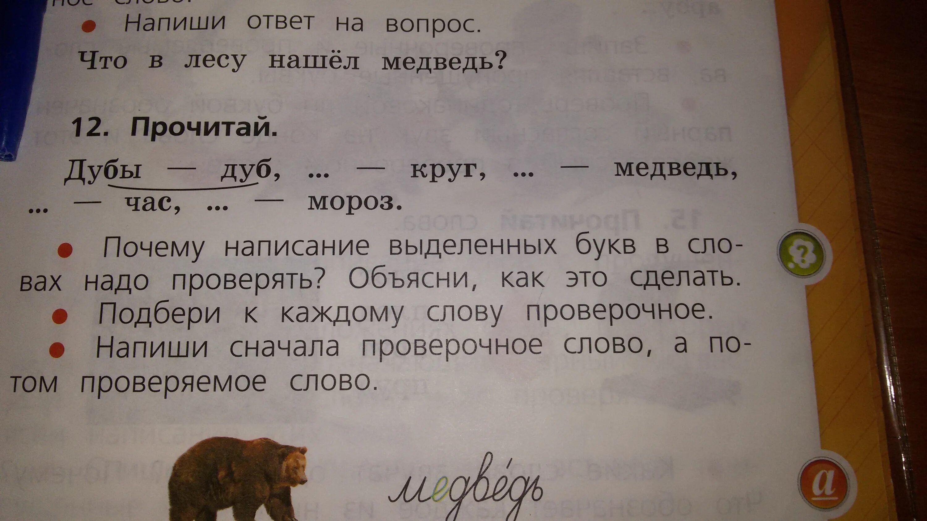 Прочитай почему написание выделенных букв в словах. Прочитай дубы дуб круг медведь. Дубы дуб это проверочное слово?. Дуб проверочное слово. Прочитай дубы дуб круг медведь час Мороз.