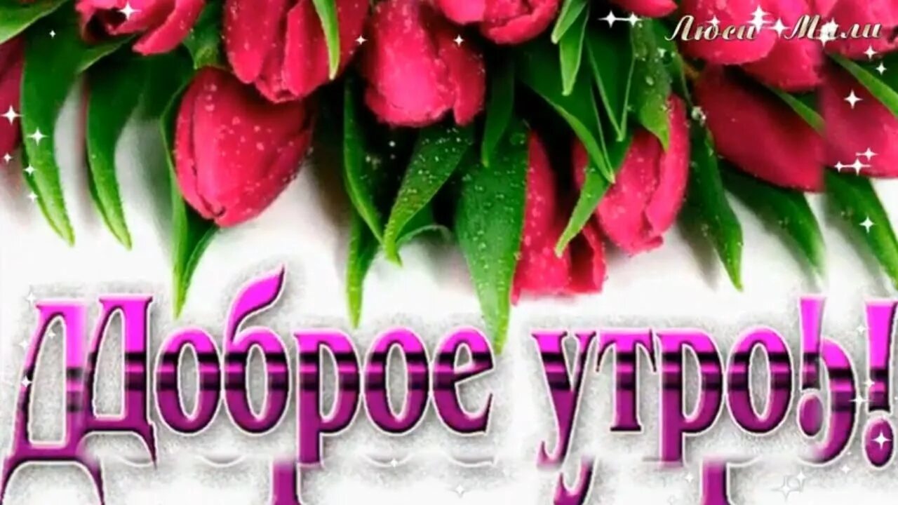 Красивые гиф с добрым весенним утром. Открытки с добрым утром весенние. открытки с добрым утром весенние красивые. открытки весенние с добрым утром и прекрасным. открытки с добрым утром весенние самые красивые.