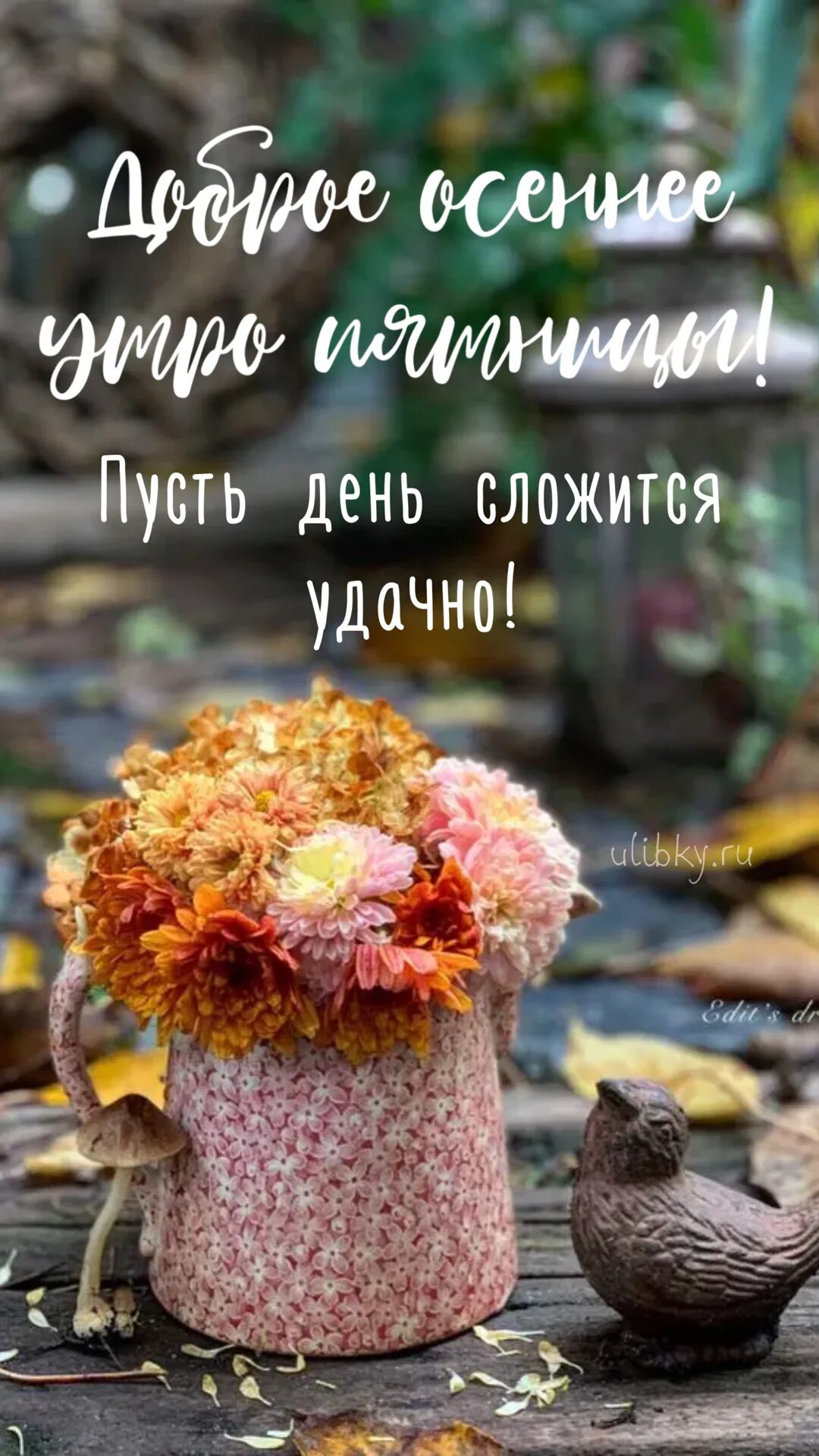 Доброе утро картинки осенние необычные со смыслом. Доброе утро осень. доброе осеннее утро прикольные. с добрым осенним. доброго осеннего утра и хорошего дня.