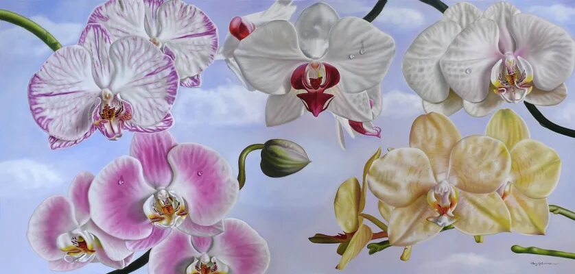 This item is unavailable Etsy in 2025 Orchids painting, Orchid drawing, Floral p