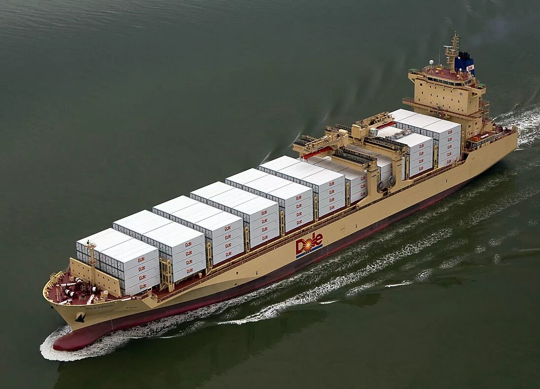 Who for ship. Рефрижераторное судно. Reefer ship. Морской банановоз. Reefer Cargo Vessel.