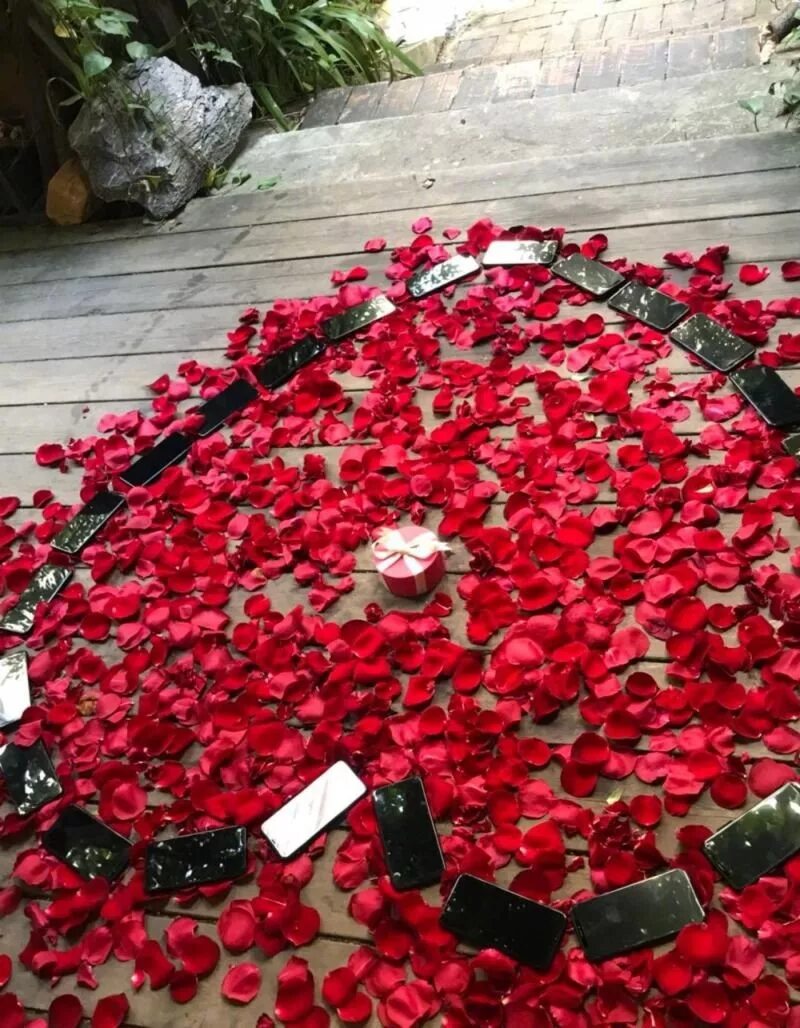 Фрукты для романтического ужина. Как можно удивить бывшего. Приятный сюрприз для девушки. Как можно удивить бывшего. Сюрприз для мужа.