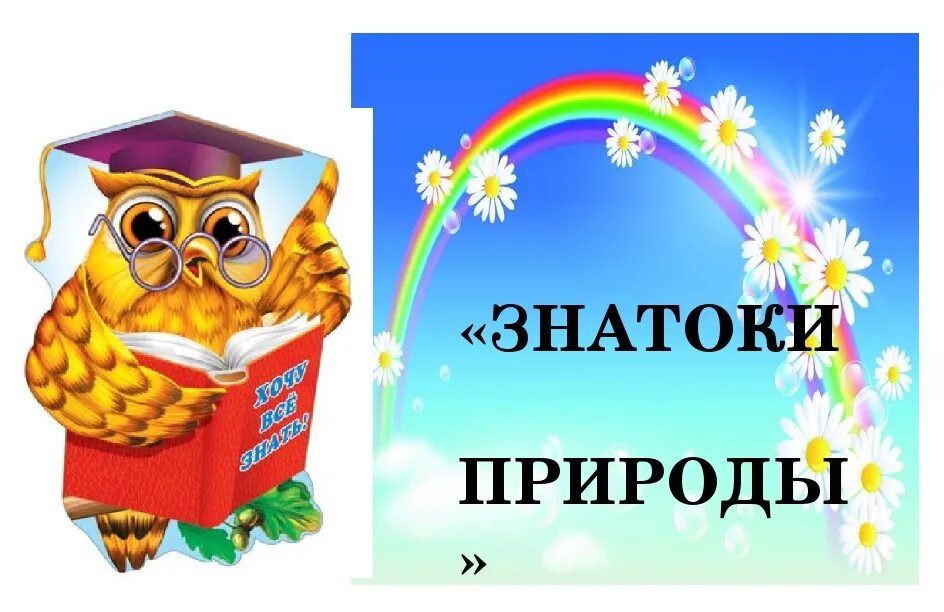 Знаток организма 6. Знатоки природы. Презентация знатоки природы.