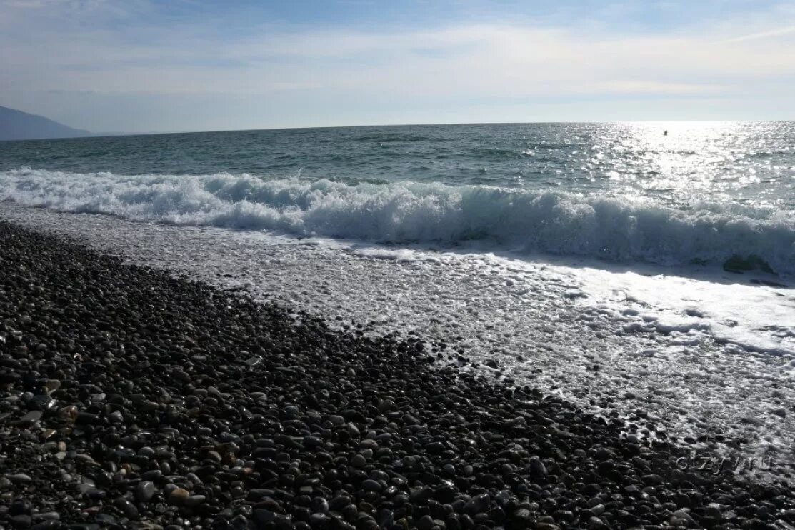 Адлер море зимой. Море декабре. Черное море в декабре. Сочи море. Море декабре.