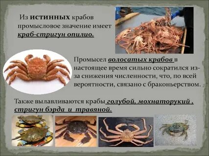 Чем отличается краб