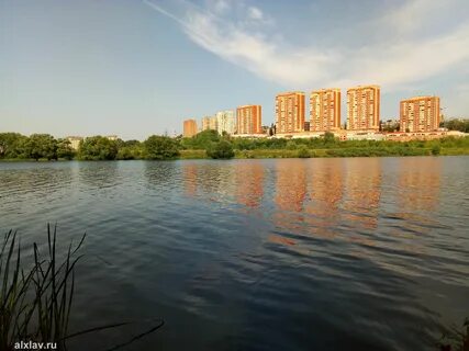 Лыткарино москва река