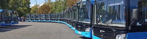 Автобусы на воробьевых горах