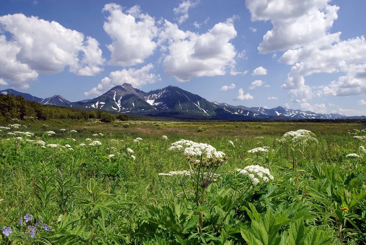 климат пояс петропавловск камчатский