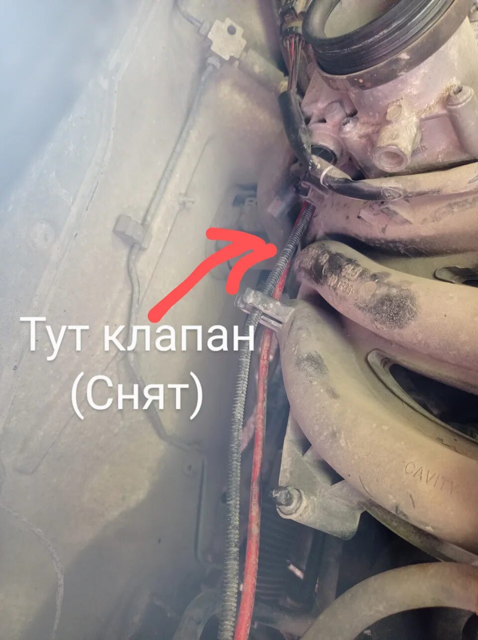6. Клапан адсорбера поло cfna. 6. 2. 6.