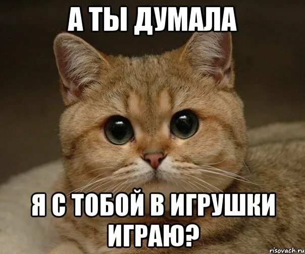 Поставь с тобой