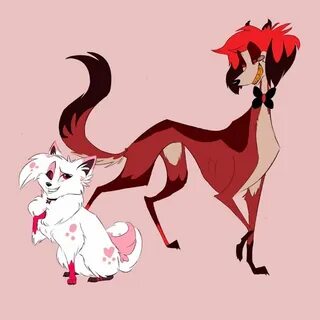 Pilot saluki