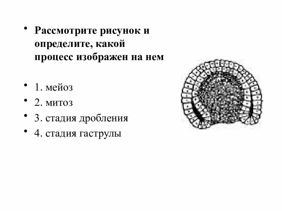 Рассмотри изображение термины. Рассмотри изображение термины