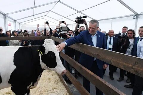 Кфх ленинградская область