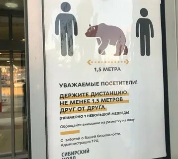 Медведь не обращая внимания на открытую дверцу