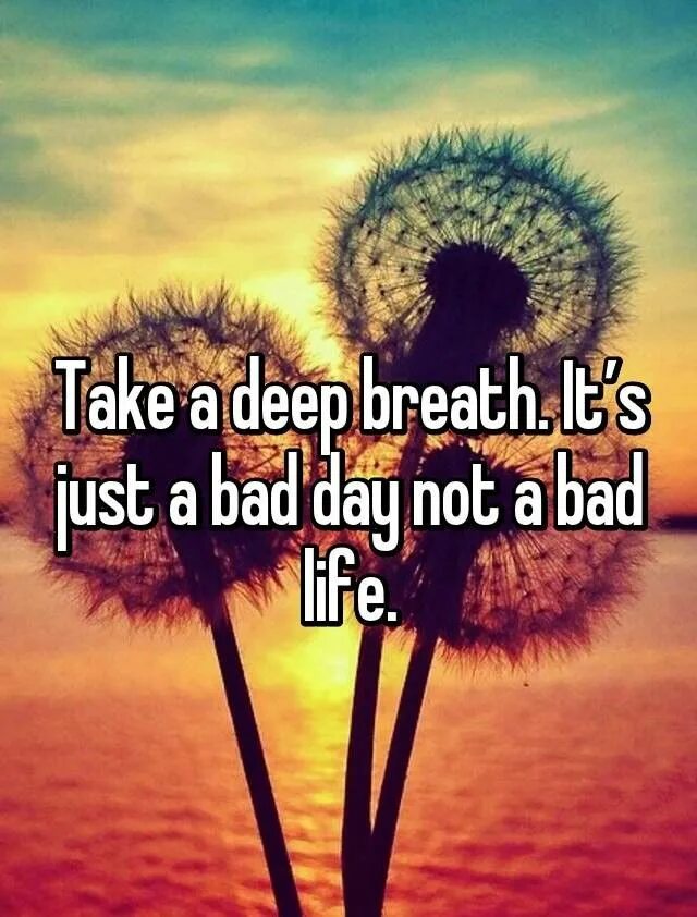 Day is not only a. Not a bad day. it&#039;s just a bad day not a bad life. a bad day chant. it s just a bad day not bad life эстетика.