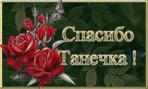 Спасибо насте
