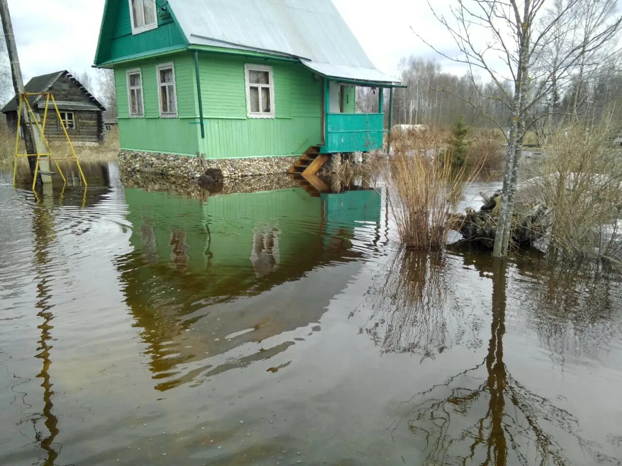 СНТ Эдельвейс Тверь затопило. СНТ Эдельвейс Тверь. СНТ Эдельвейс Тверь Даниловское. СНТ Нептун Обнинск.