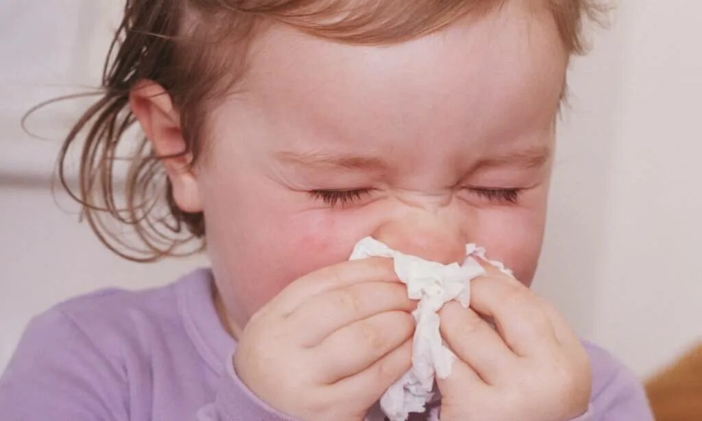 Заложенность носа температура 39. Чихание ребенка. Ребенок чихает.
