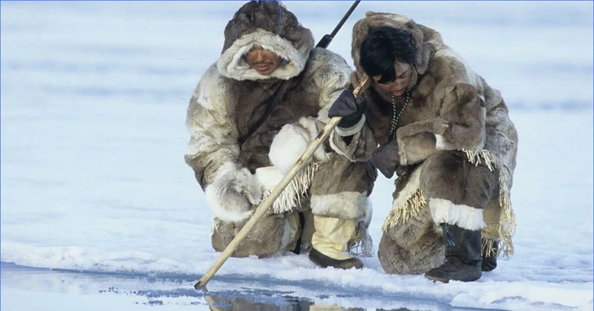 Эскимосы Сибирь. Эскимосы и Коряки. Эскимосы дальнего Востока. Эскимосы в тундре.