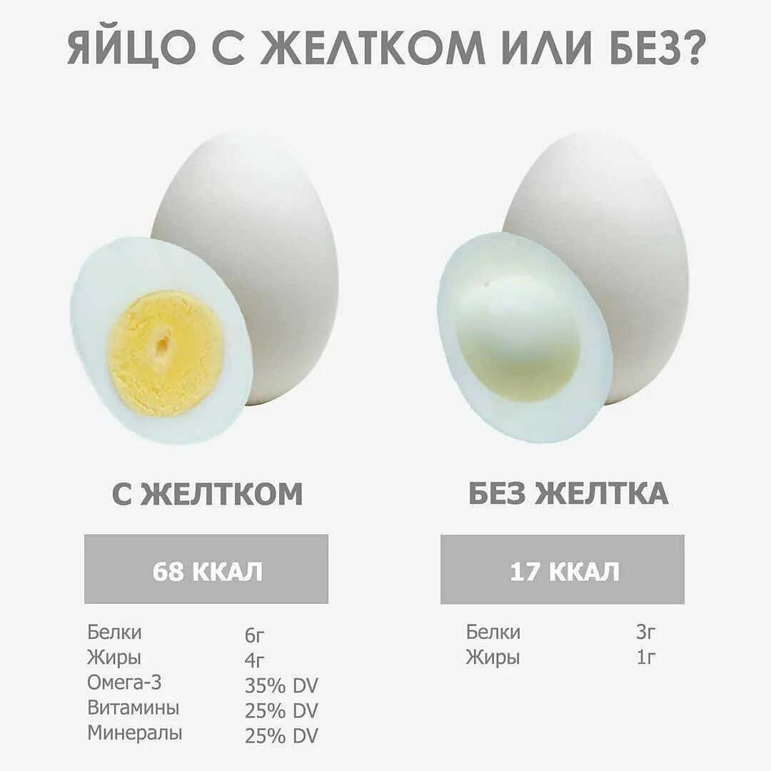Сколько белка в яйце на 100 грамм