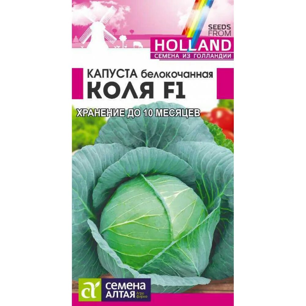 Капуста белокочанная Коля. Капуста Коля f1 10 шт ( Голландия) п. Капуста Атрия б/к f1 10шт Seminis/Садовита ц. Сорт капусты белокочанной: Коля f1 Голландия. Коля капуста описание