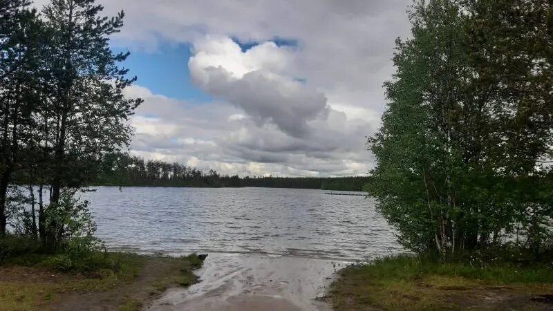 Озеро светлое ноябрьск. Ноябрьск светлое. Ноябрьск светлое. Озеро светлое хмао. Озеро светлое нижневартовск.