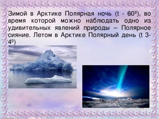 Сколько суток в арктических пустынях. Зимой в Арктике Полярная ночь. Презентация о полярной ночи. Природные явления в арктической пустыне. Полярные день и ночь в Арктике.