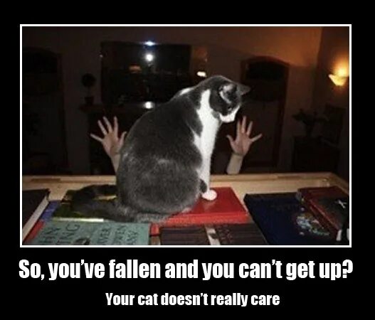 Cat doesn t. I Fall and i can't get up. Ive Fallen and i cant get up. I fell and i can't get up. I Fall and cant get up.