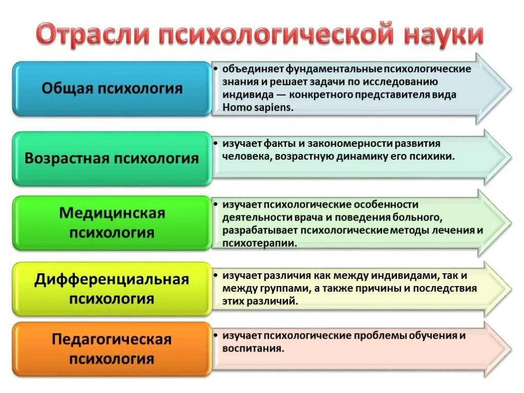 Какая наука изучает психологию. Перечислите основные отрасли психологической науки. Основные отрасли психологии кратко. Отрасли общей психологии таблица. Прикладные отрасли психологической науки.