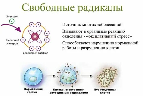 Радикал препарат