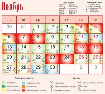 Что будет 24 ноября 2023 года