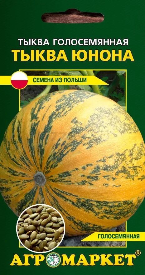 Как вырастить голосемянную тыкву