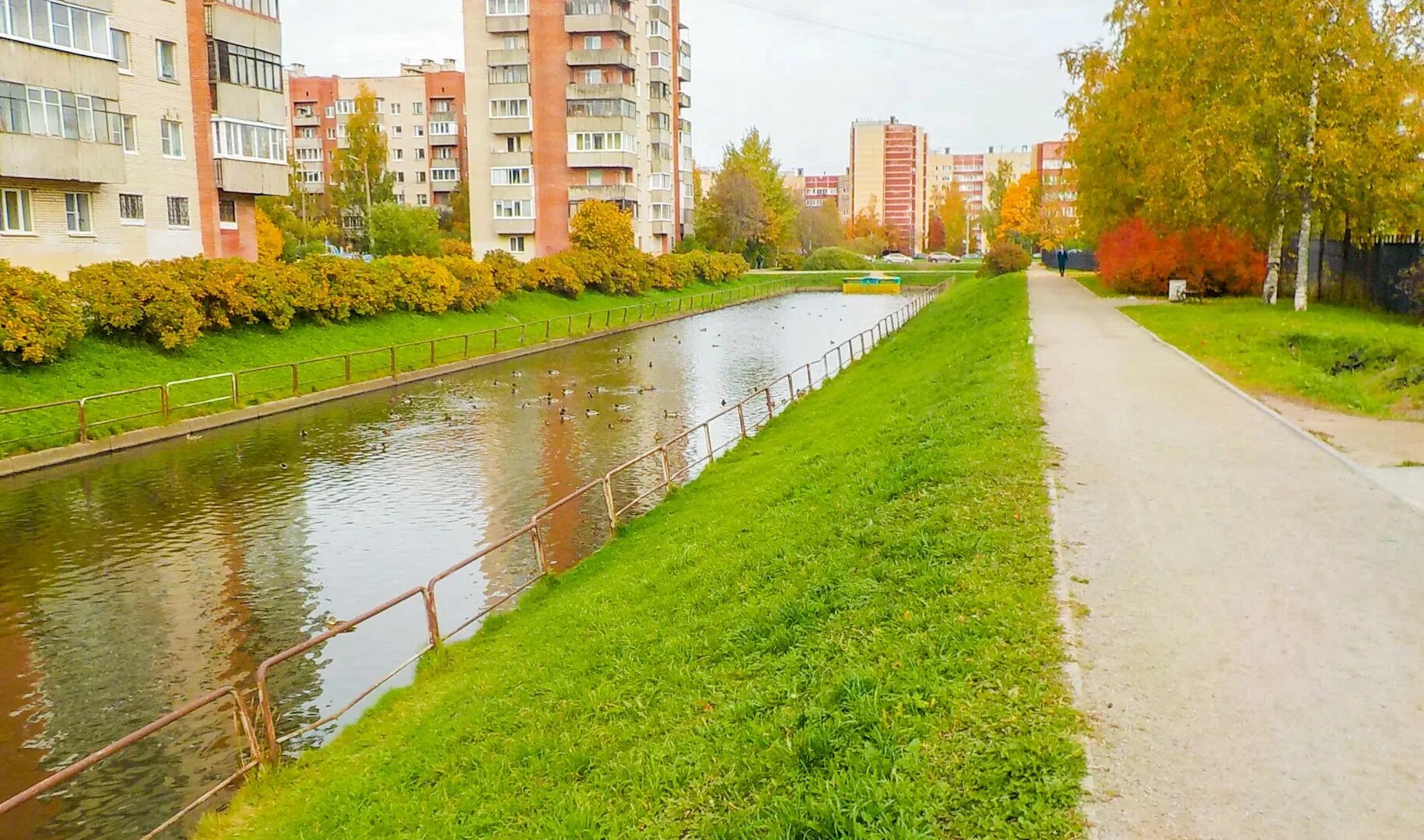 For sale a bright 3 x room apartment in the inhabited area of Old Peterhof (23 q