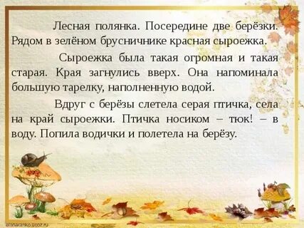 Изложение сыроежка