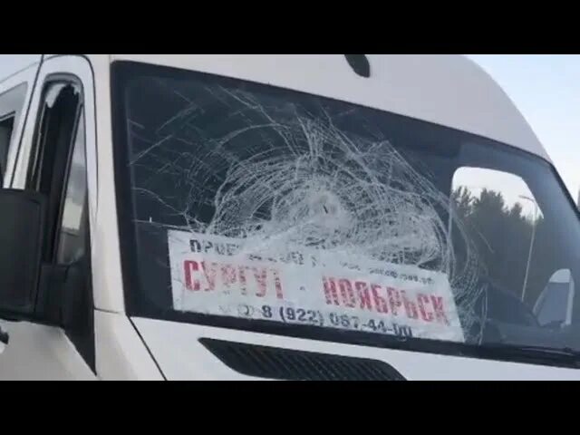 Маршрутка ноябрьск сургут. Автобус ноябрьск сургут. Муравленко автобусы. Маршрутка муравленко ноябрьск. Муравленко сургут.