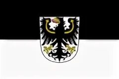 Admin flag. Admin flag