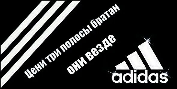 Олимпийка adidas con21 gh7138. Адидас про это. Адидас мемы. Смешные картинки адидас. Адидас про это.