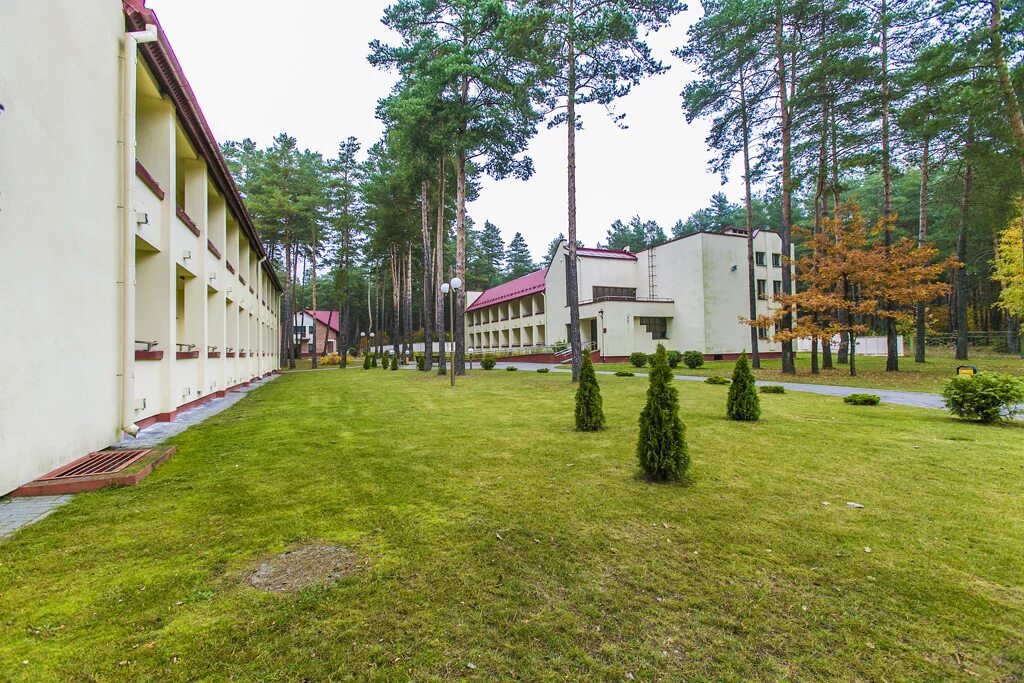 Энергетик санаторий Беларусь. Санаторий Энергетик Гродненская область. Пансионат Белоруссия Энергетик. Санаторий Энергетик Волковысский район.