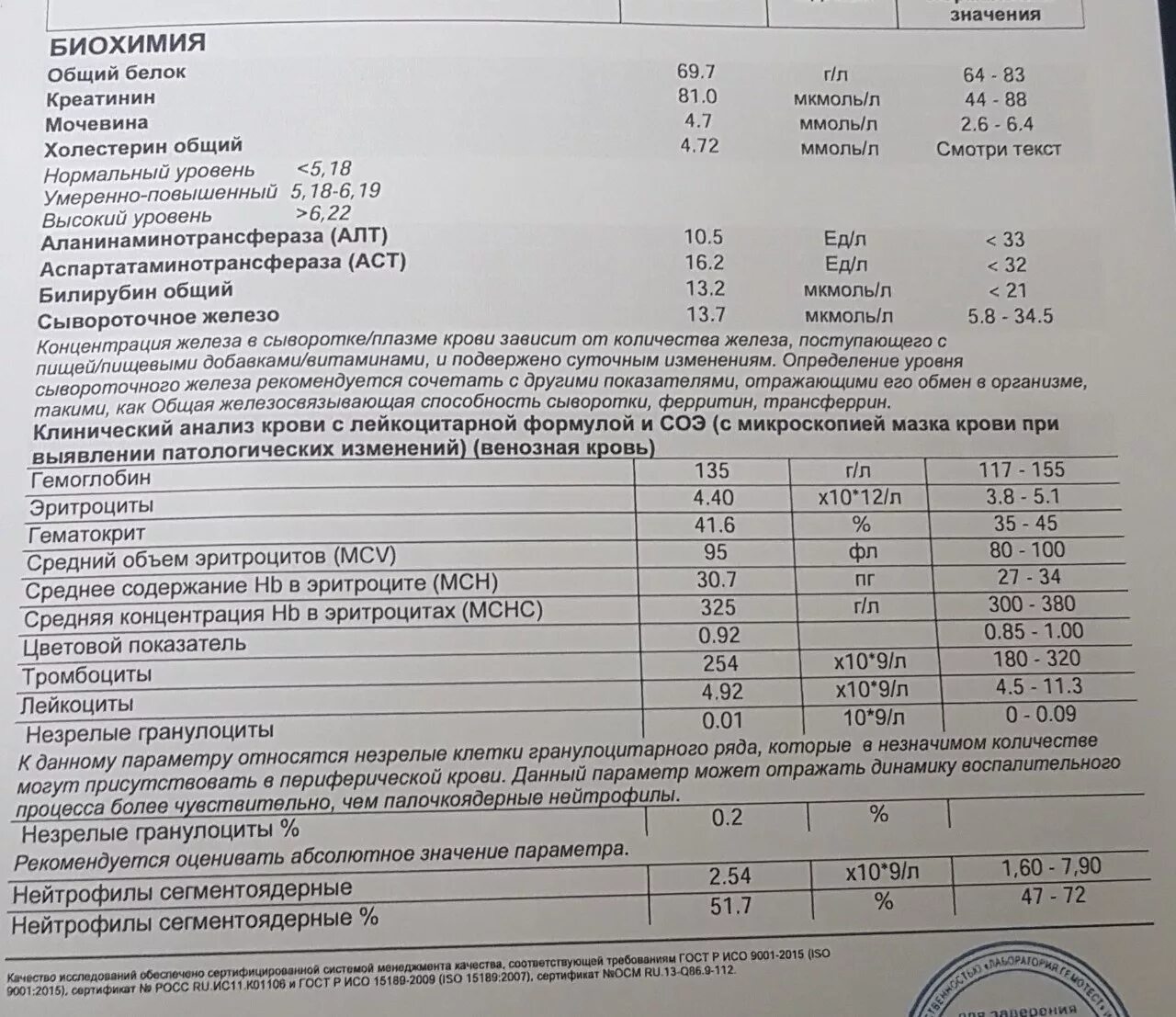 Какая норма моноцитов. Моноциты 12.4 норма. Моноциты повышены. Повышение моноцитов в крови. Повышены моноциты в крови у взрослого.