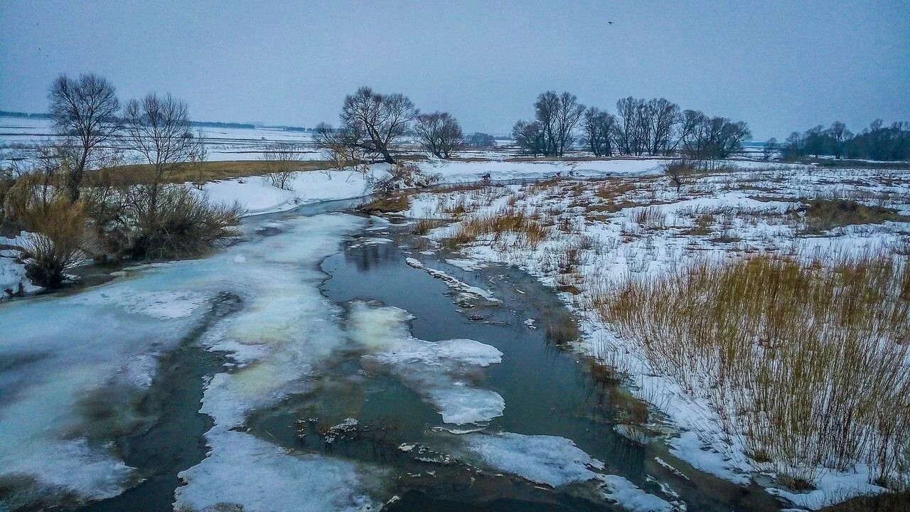 Язгы. Язгы. Язгы. Фото сюсен , язгы. Про ташу.