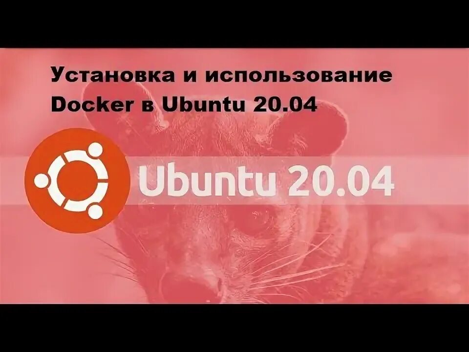 Как установить докер на ubuntu. Как установить докер на ubuntu