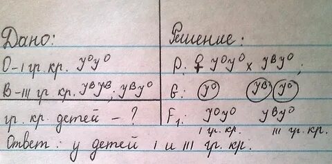 Женщина имеет четвертую