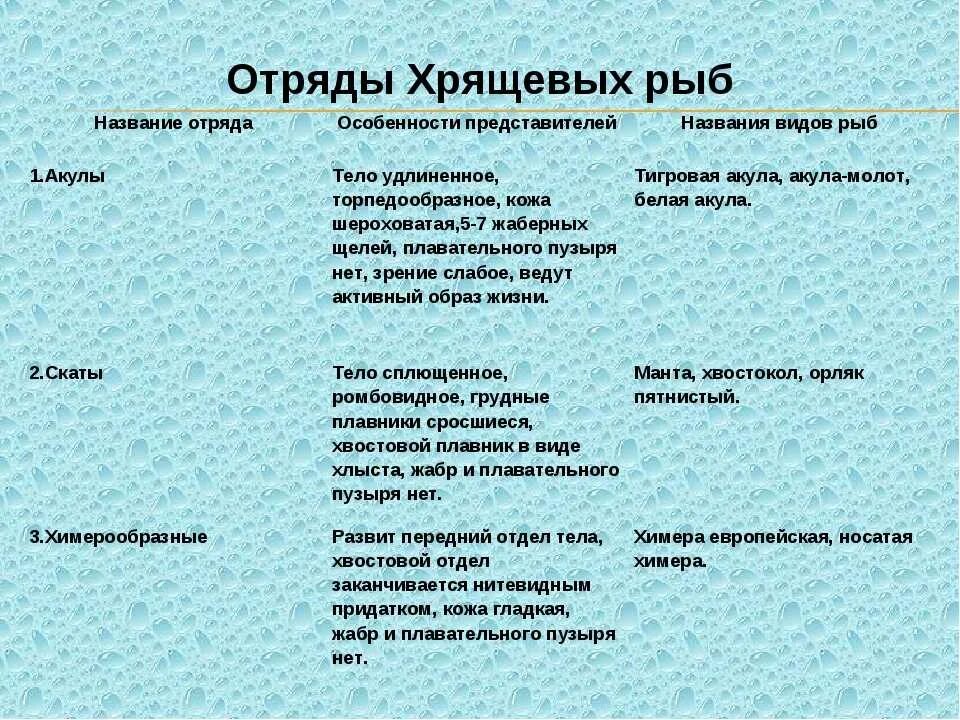 Отряды хрящевых рыб таблица 7 класс биология. Таблица особенности строения рыб . Представители хрящевые. Отряды хрящевые рыбы особенности строения. Отряды хрящевых рыб таблица 7.