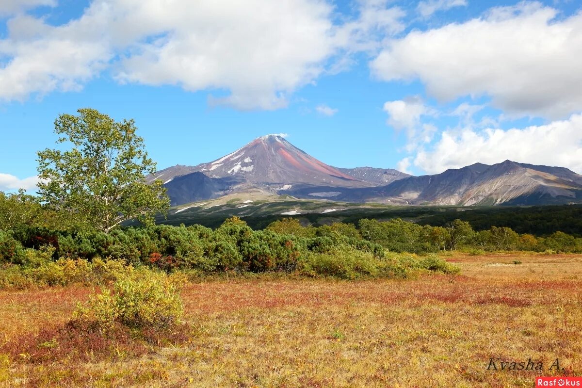 авачинская сопка камчатка. подножье сопок. подножье сопок. авачинский перевал камчатка. подножье сопок.