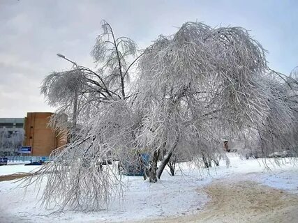 Погода в орехово зуево на ноябрь