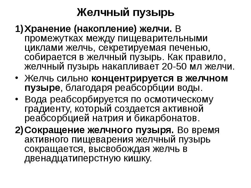 Кишечный цикл. Цикл желчи. физиология желчного пузыря. накопление желчи в желчном пузыре. реабсорбция желчи.