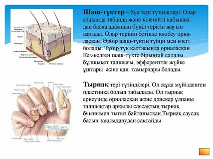 Қыз жігітке секс порно туралы үйретеді