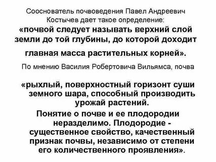 Понятие и определение почвы